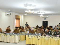 Wabup Tojo Una-Una Buka Sosialisasi Kajian Risiko Bencana dan Indeks Ketahanan Daerah