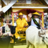 Karnaval Roda Sapi Meriahkan HUT ke-22 Tojo Una-Una