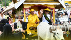 Karnaval Roda Sapi Meriahkan HUT ke-22 Tojo Una-Una