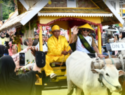 Karnaval Roda Sapi Meriahkan HUT ke-22 Tojo Una-Una